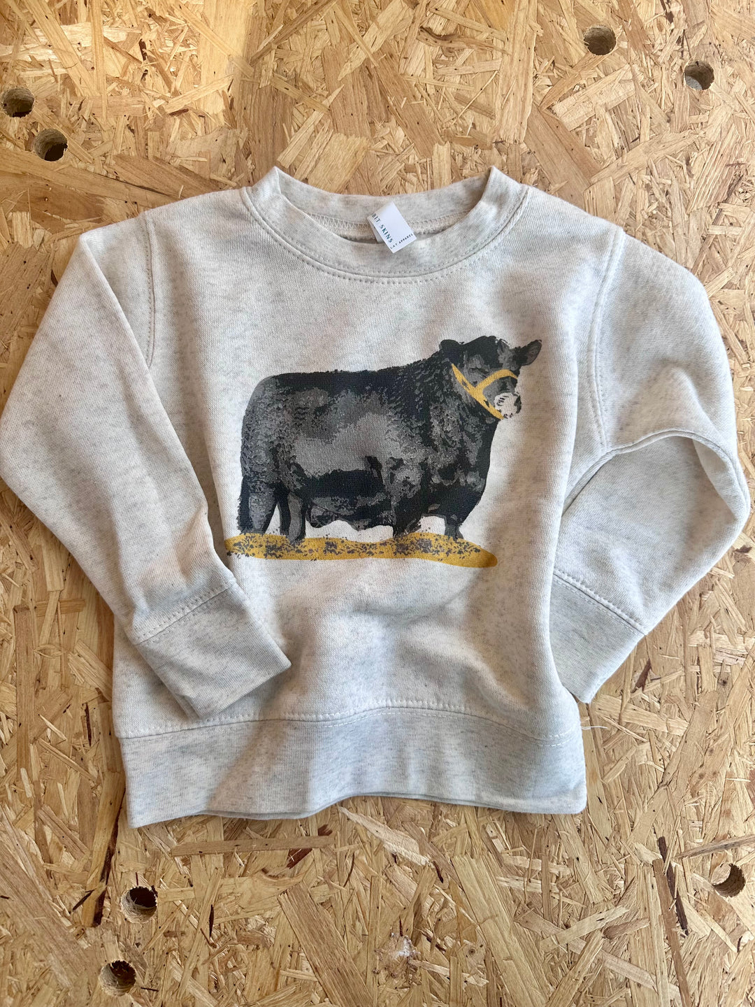 Youth Angus Sweatshirt
