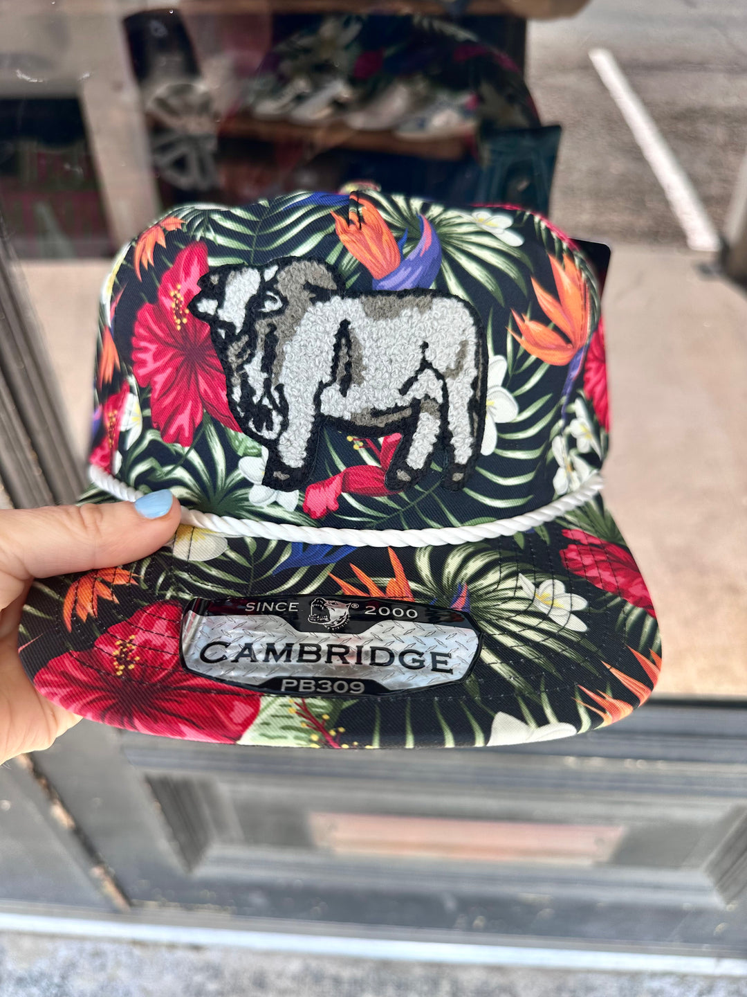 Brahma Patch Trucker Hat-Black Tropics