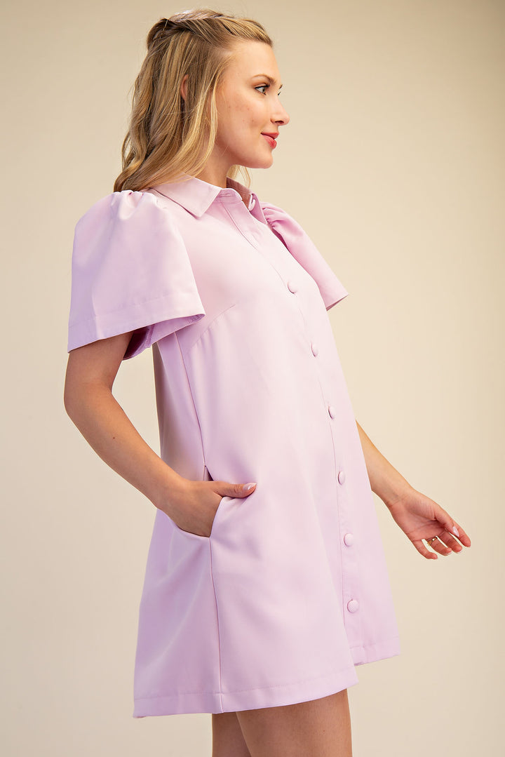 Collar Neck Button Down Mini Dress