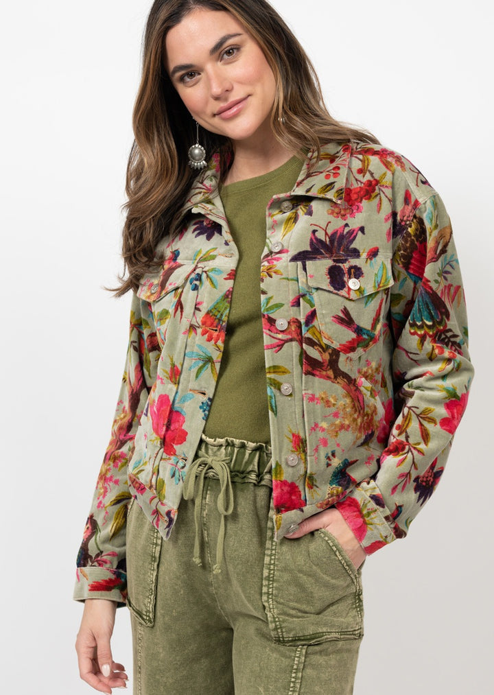 Bird Print Velveteen Jacket by Ivy Jane