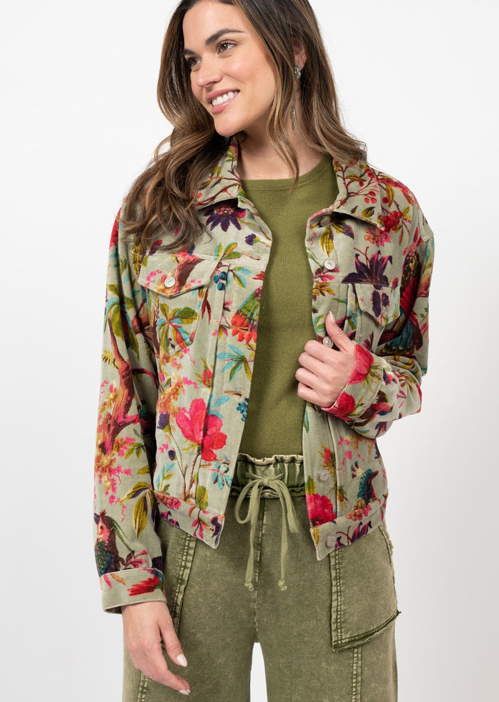 Bird Print Velveteen Jacket by Ivy Jane