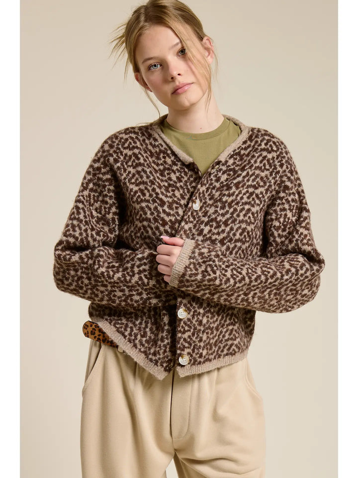 Cheetah Print Knit Cardigan