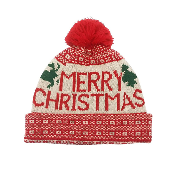 Merry Christmas Beanie