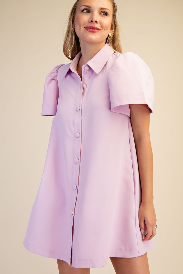 Collar Neck Button Down Mini Dress