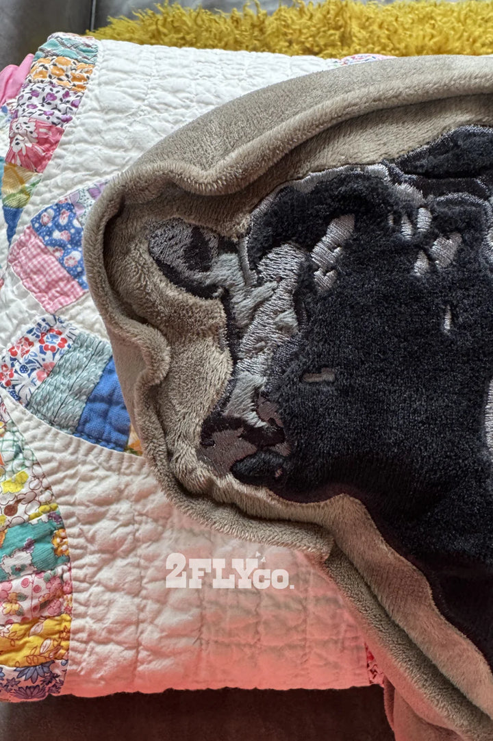 Cattle Talk Pillow