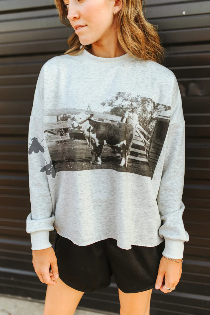 The Old School Hereford Sweatshirt