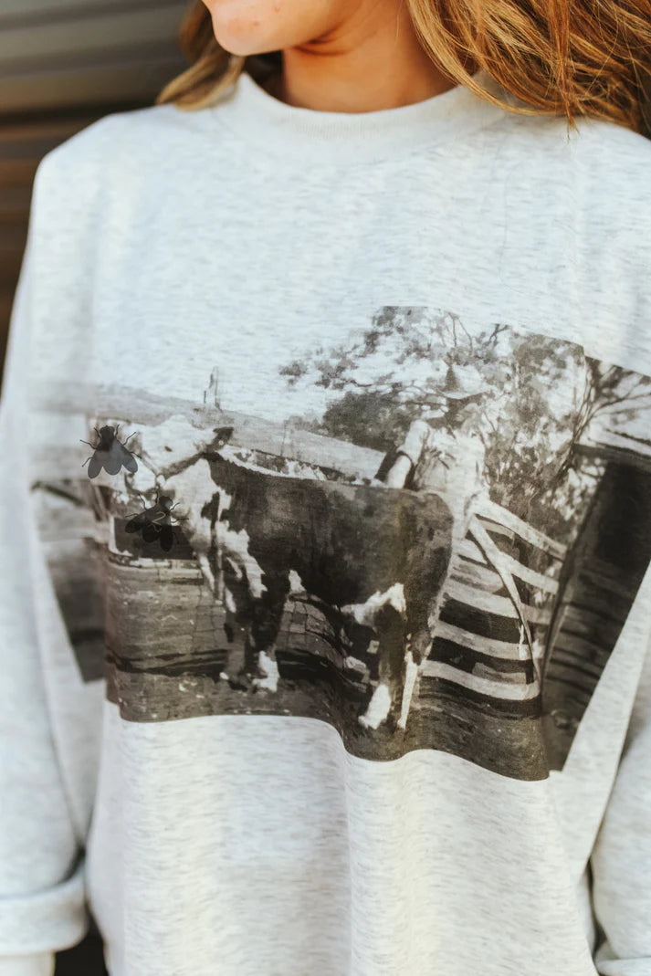 The Old School Hereford Sweatshirt