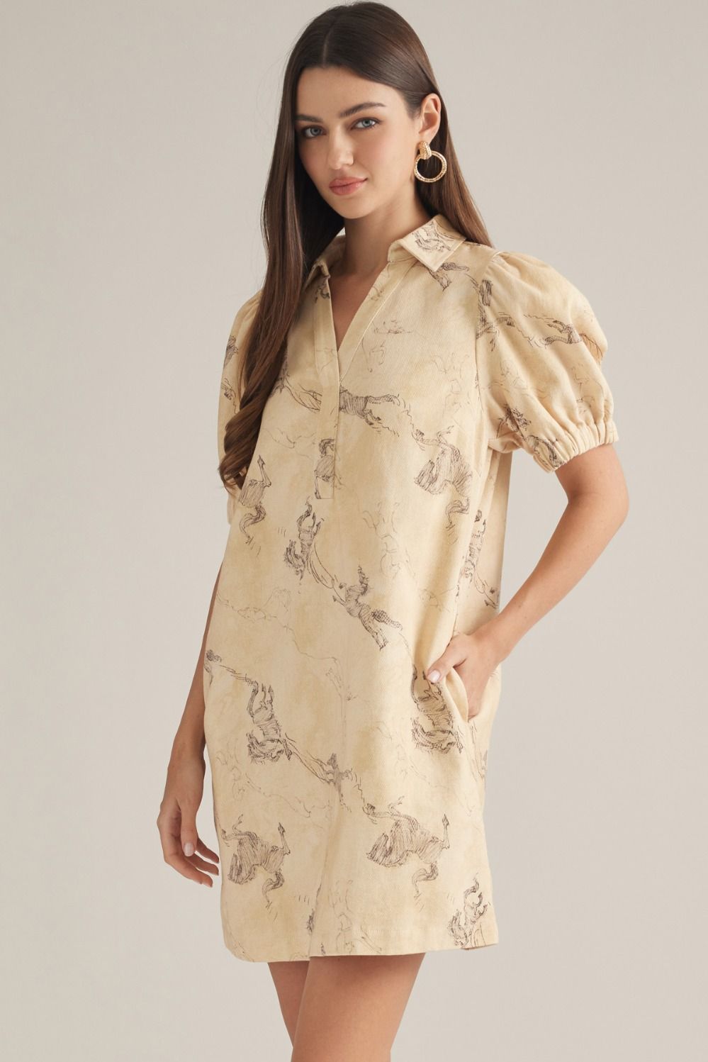 WIld Horses Dress