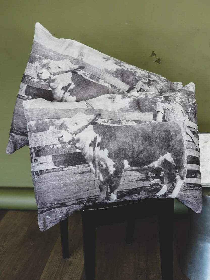The Hereford Pillow Case (2)