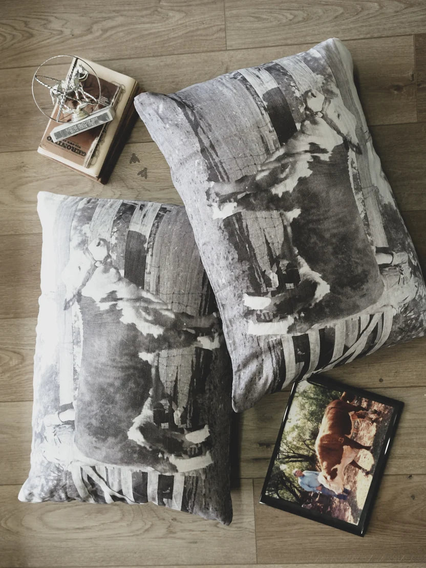 The Hereford Pillow Case (2)