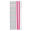 Party Animal + Hot Pink Reusable Straw Set